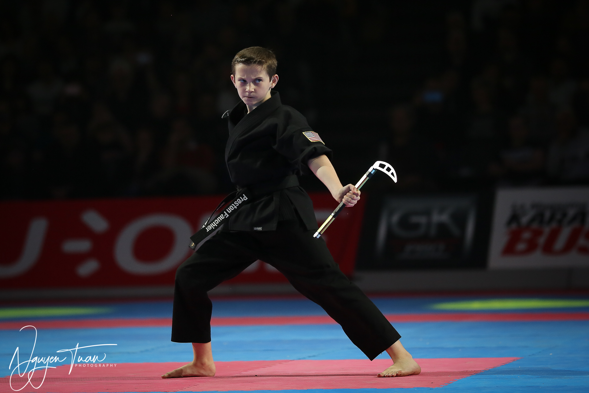 20190324 Festival des Arts Martiaux 4745